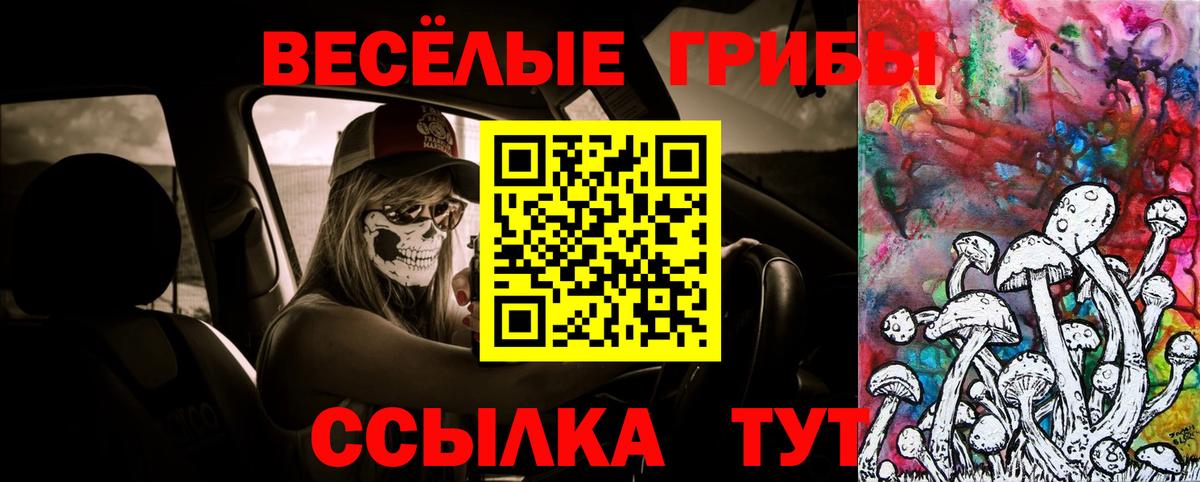 Псилоцибиновые грибы Psilocybe  Псилоцибиновые грибы прущие грибы  Малоярославец  цены   Вход с VPN 